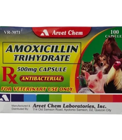 Amoxicillin Trihydrate 500mg (100 capsule)