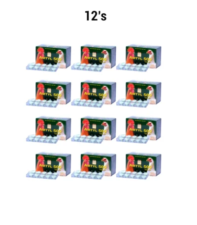 Amtyl 500 (100 Tablet) 12's