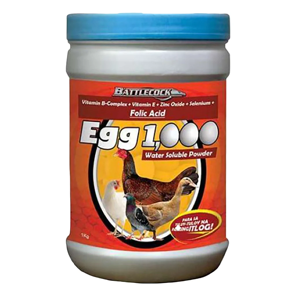 Egg1000_1024x1024 (1) Water Soluble Powder Egg