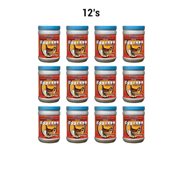 Egg 1000 (1kg) 12's