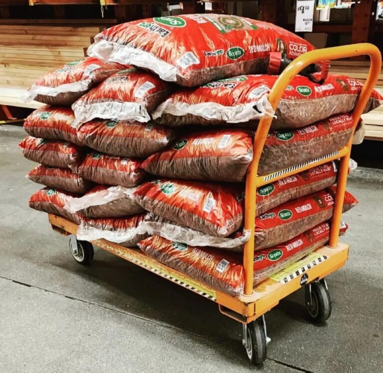 Gamecock Feed