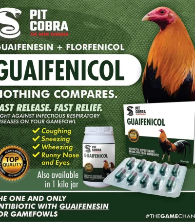 Guaifenicol (100 Capsules) Pit Cobra