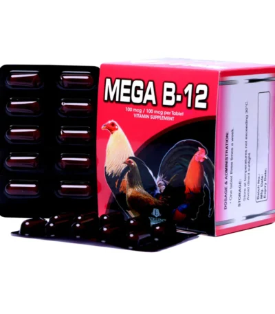 Mega B12 (100 Tablet)