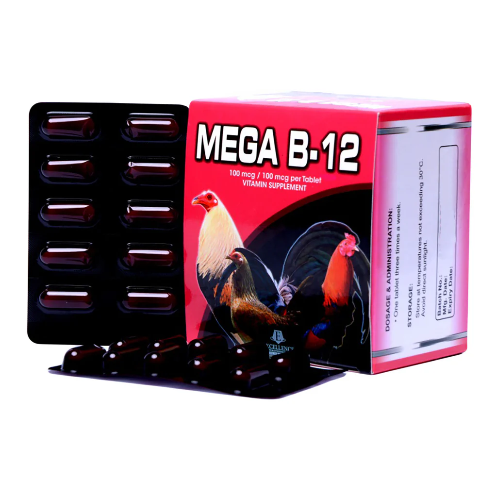 Megab12_1024x1024 Mega B12 (100 Tablet)