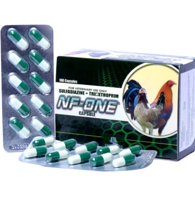 NF One Capsule (100 Capsule)