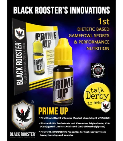 Prime Up 10ml