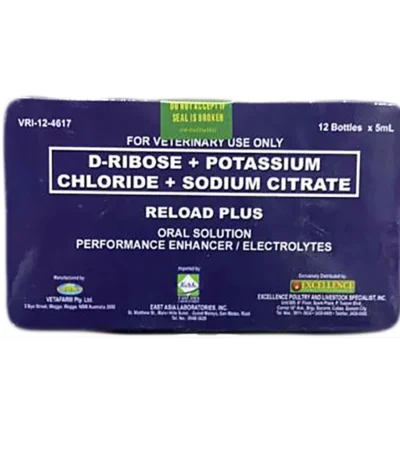Reload Plus
