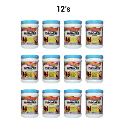 Vitminpro Powder (1KG) 12's