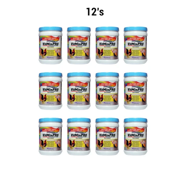 Vitminpro Powder (1KG) 12's