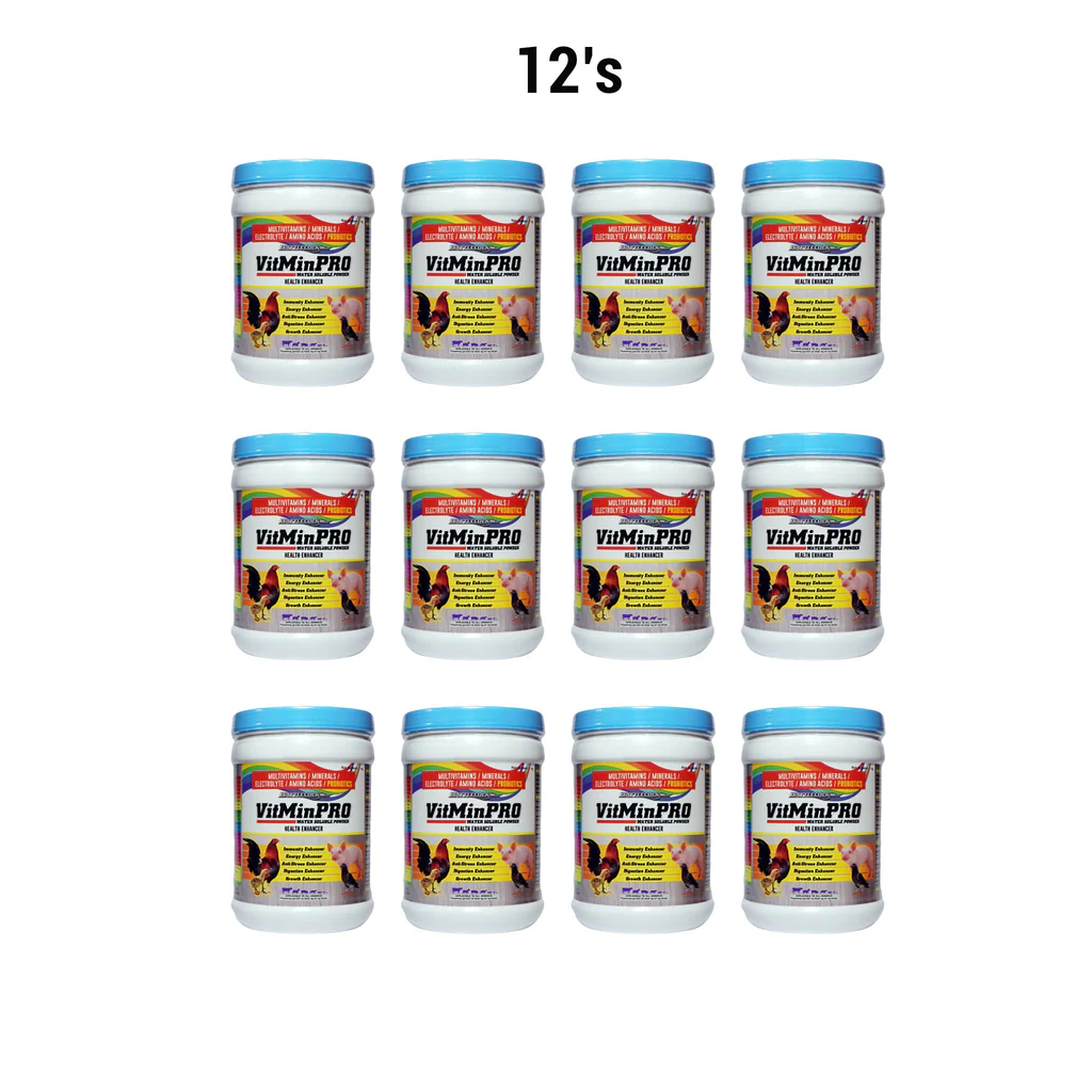 Vitminpro12_s_1024x1024 Vitminpro Powder (1KG) 12's