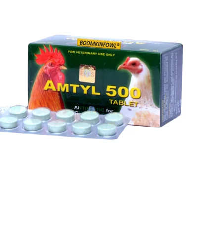 Amtyl 500 (100 Tablet)