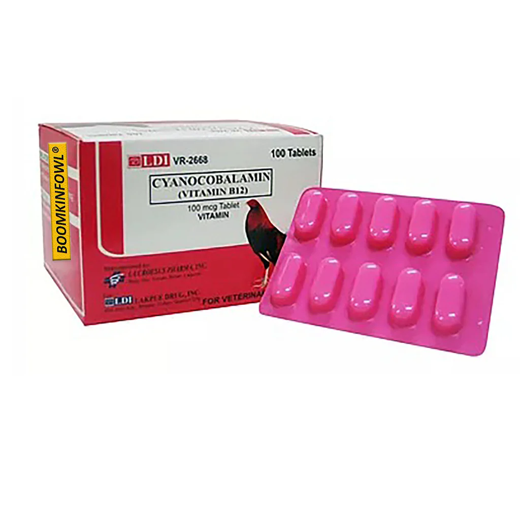 b-12ldi_1024x1024 B-12 LDI Tablet