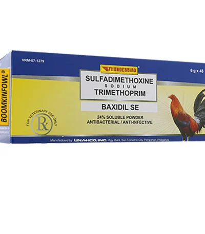 Baxidil SE 6g (48 Sachet)