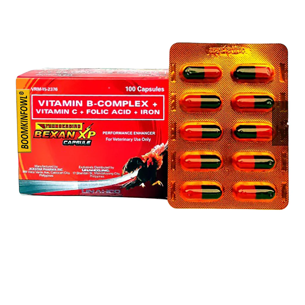 bexanxpcapsule_1024x1024 Bexan Capsule