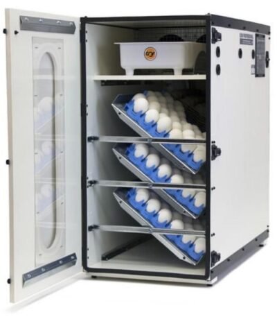 Cabinet Incubator