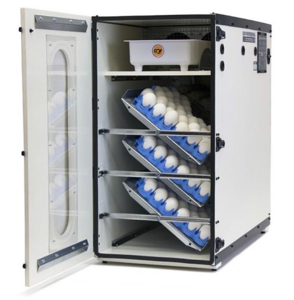 buy-fowl-Incubator Cabinet Incubator