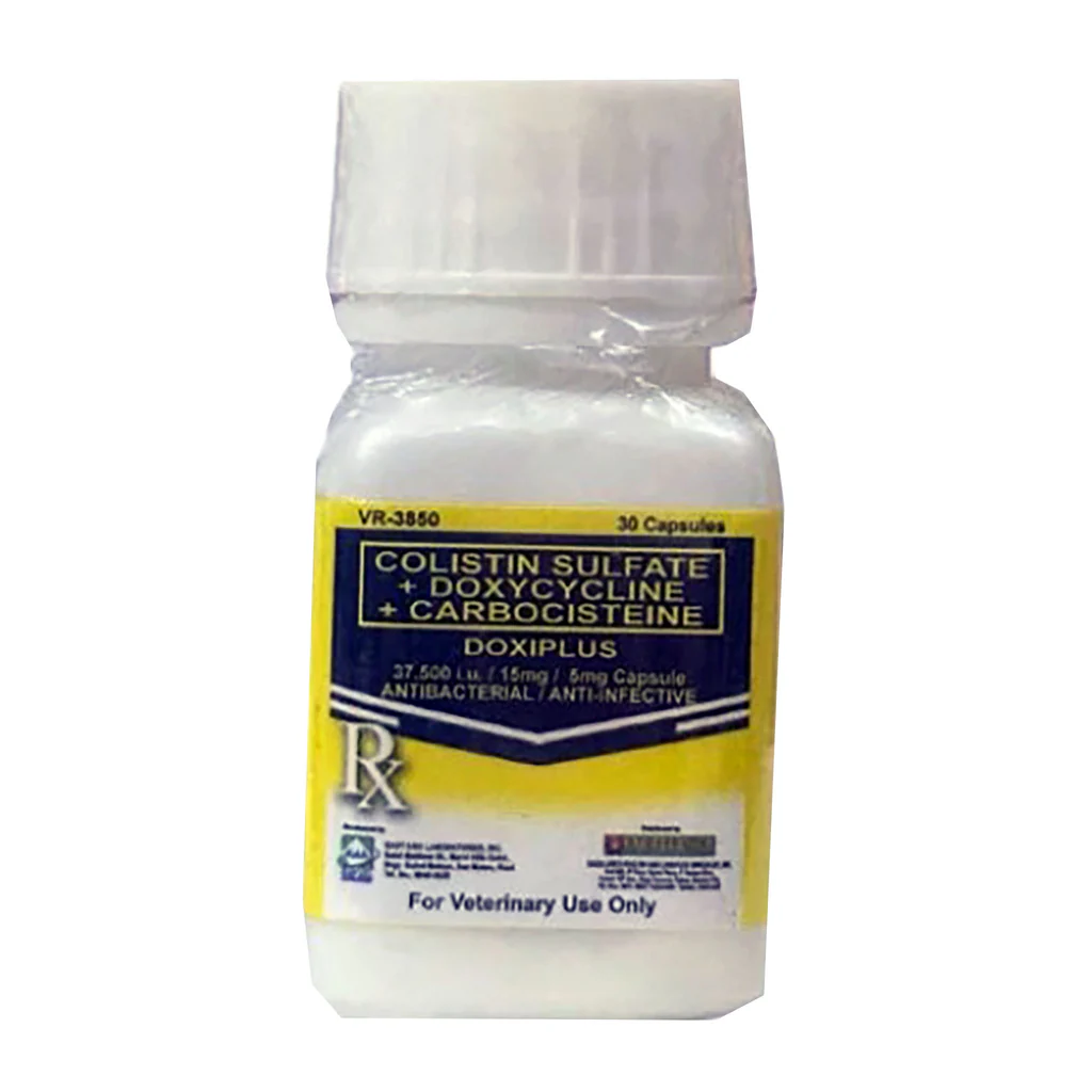 doxiplus30_s_1024x1024 Doxiplus (30 Capsule)