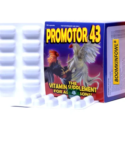 Promotor 43 (100 Capsule)