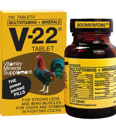 V22 Tablet