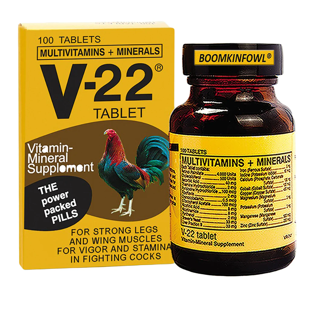v-22tablet_1024x1024 V22 Tablet