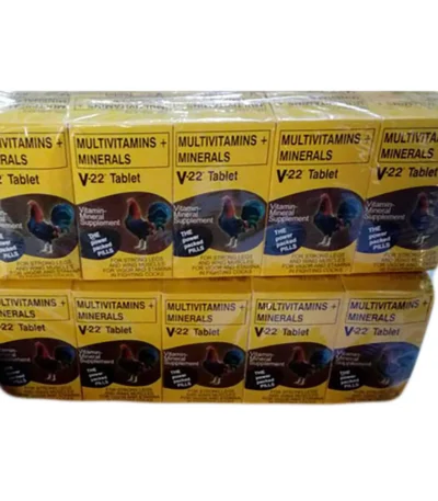 V22 Tablet 100 Tablets