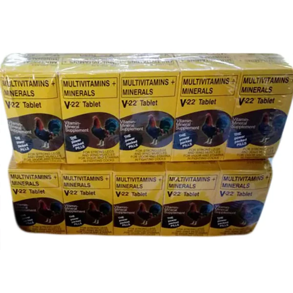 V22 Tablet 100 Tablets