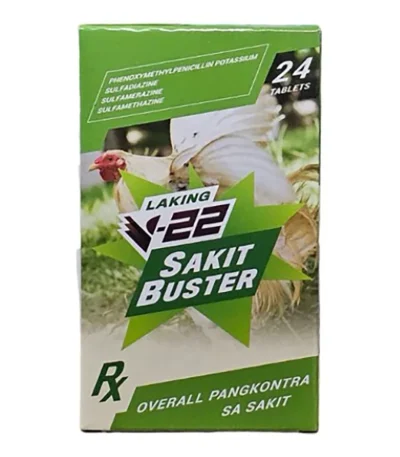 V22 Sakit Buster 24 Tablets