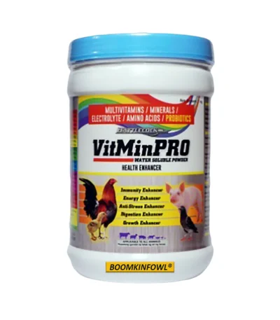 Vitminpro Powder (1KG)