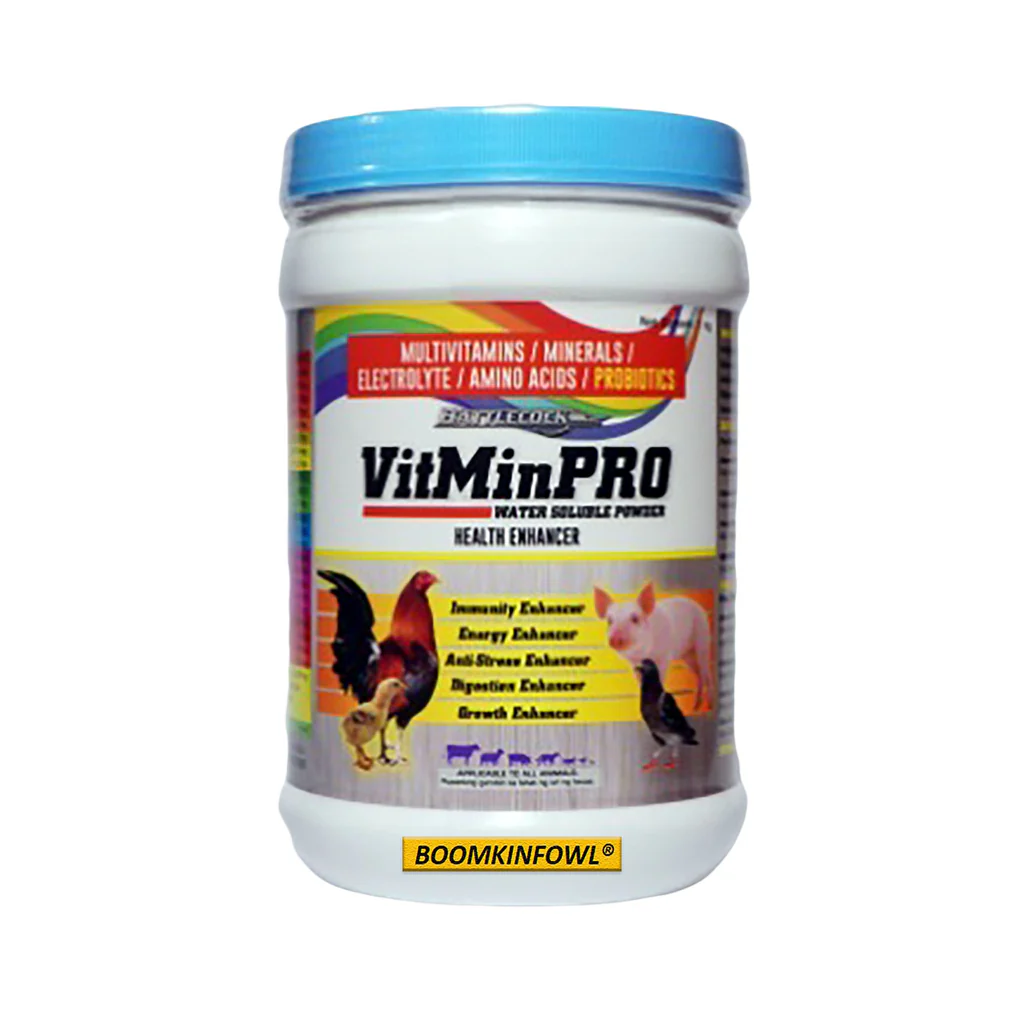 vitminpro1kg_6527f47d-bf51-4c7e-816f-1698cc945326_1024x1024 Vitminpro Powder (1KG)
