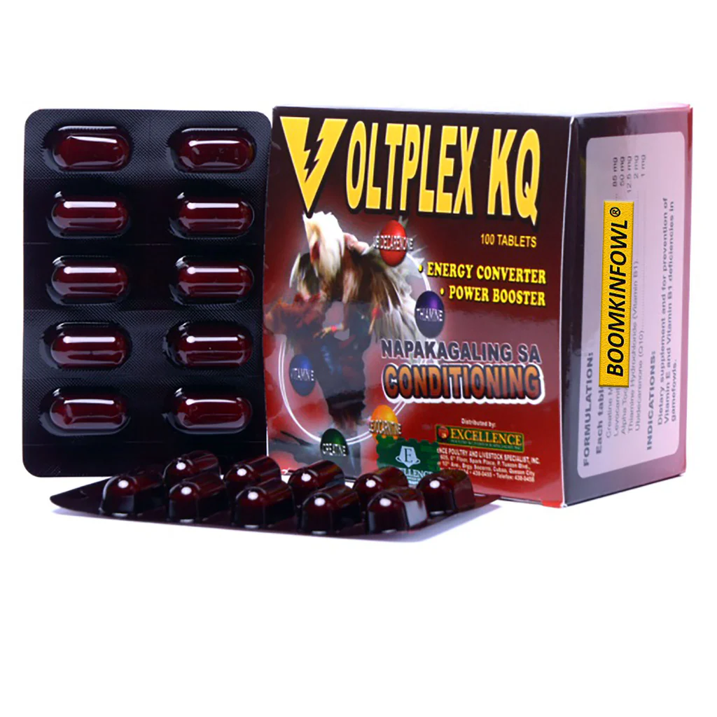 voltplexkg_1024x1024 Voltplex KQ (100 Tablet)